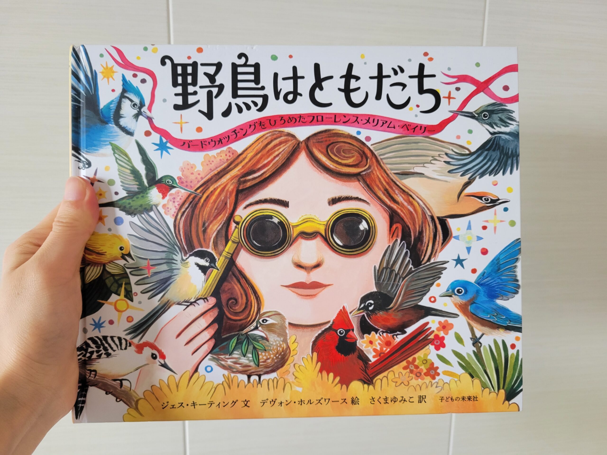 Picture book Birdlore